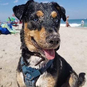 Meet your Posher, Joanne